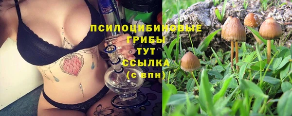 герыч Елизово
