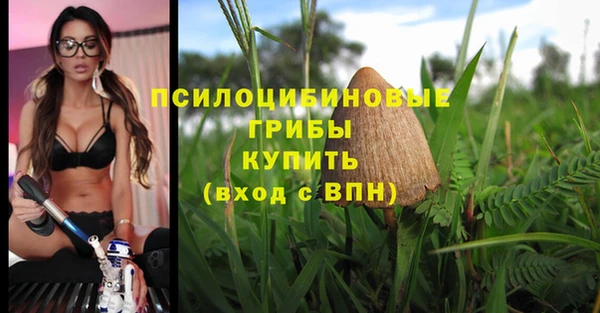 герыч Елизово