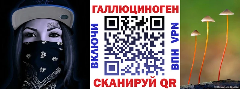 Купить закладки  Буйнакск  Псилоцибиновые грибы Magic Shrooms 
